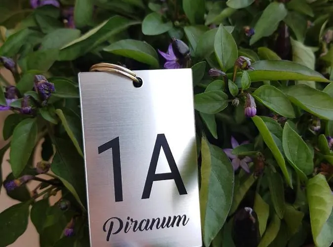 Piranum Pensionat 3*