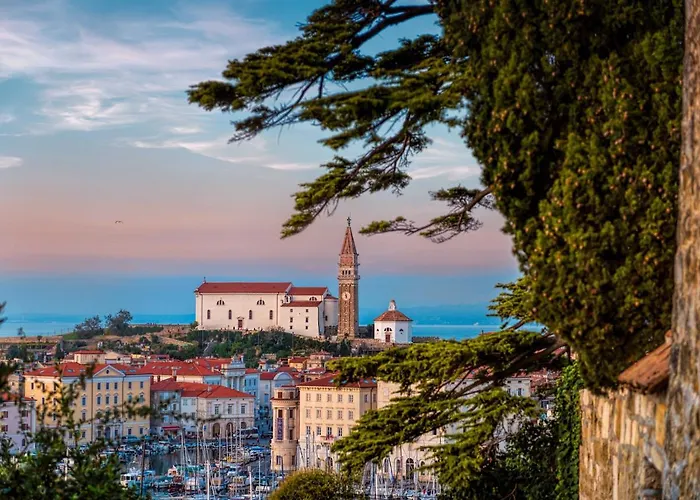 招待所 Piranum 3*